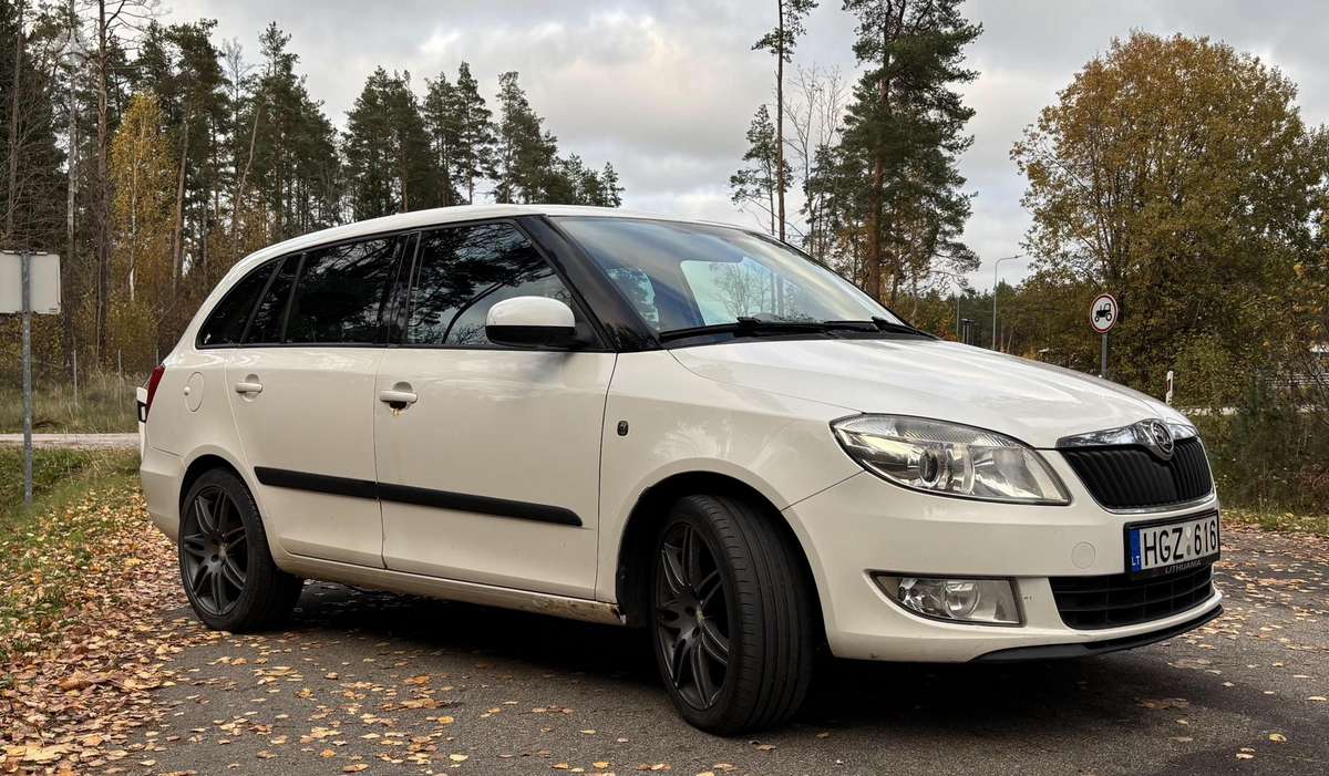 Skoda Fabia 2010 — двигун 1598 cm³, 105 HP (77kW)