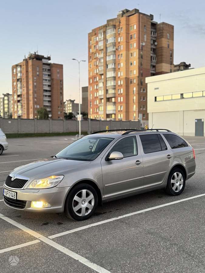 Skoda Octavia 2010 — вигляд ззаду