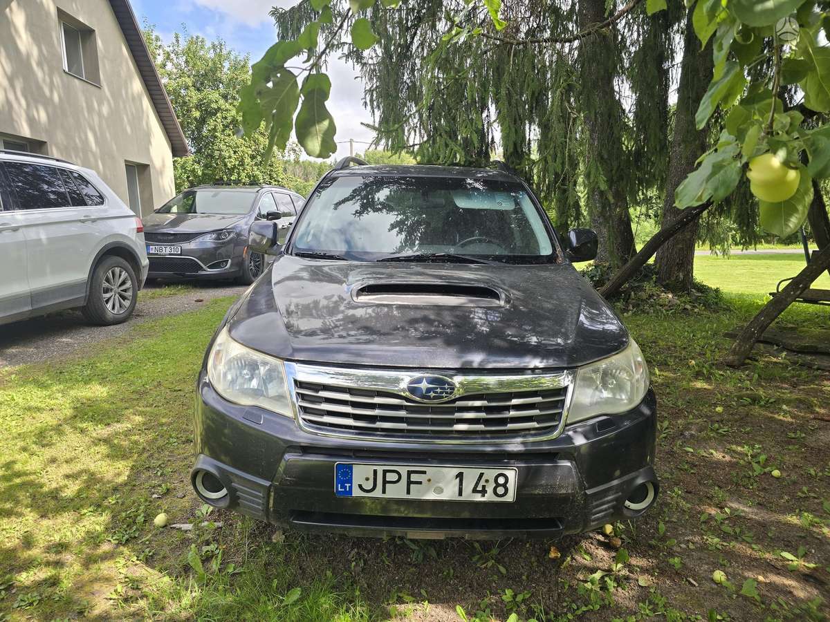 Subaru Forester 2010 — rear view