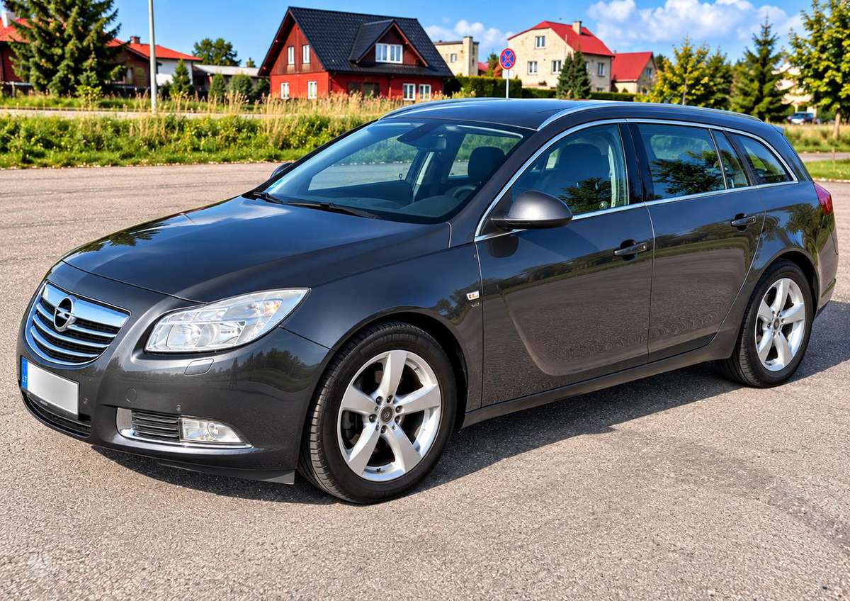 Opel Insignia 2010 — вигляд ззаду