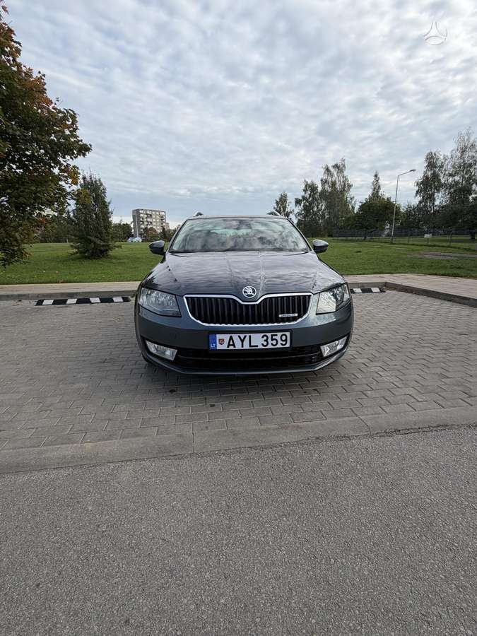 Skoda Octavia 2014 — rear view