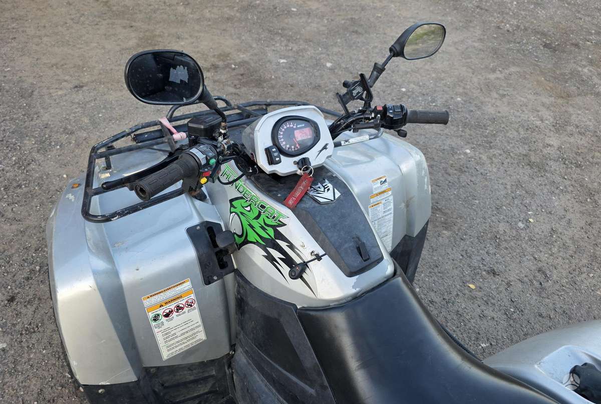 Arctic Cat 2008 — photo 5