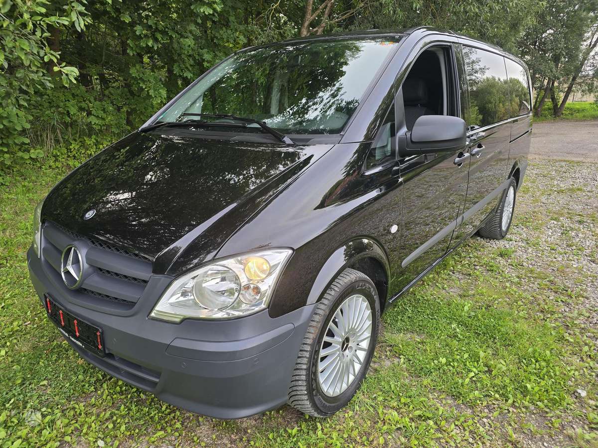 Mercedes-Benz Vito 2010 — вигляд ззаду