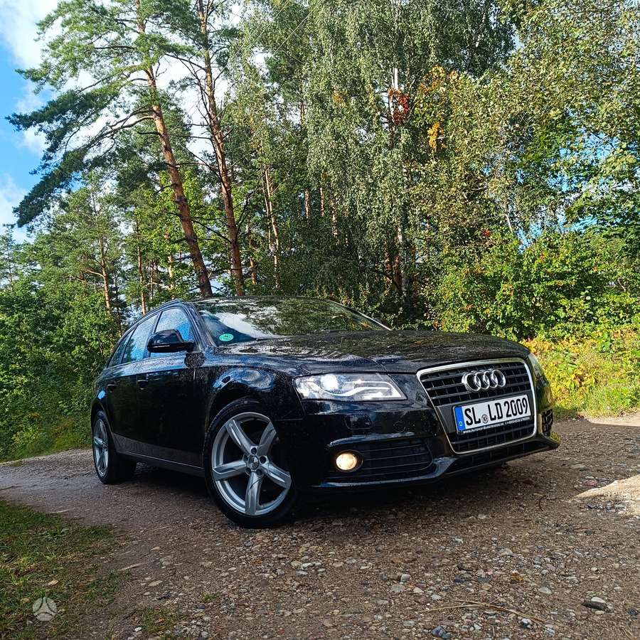 Audi A4 2009 — вигляд ззаду