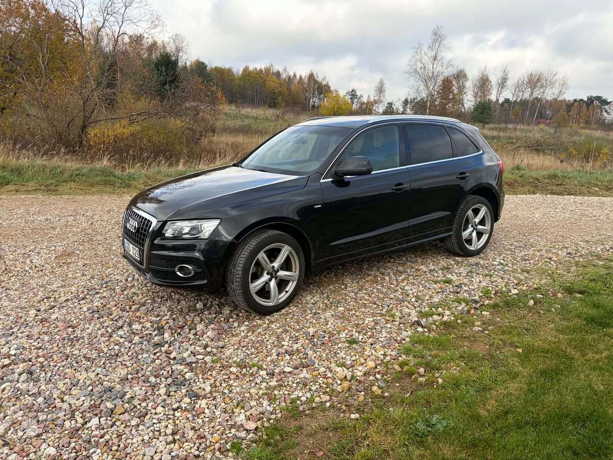Audi Q5 2009 — вигляд ззаду
