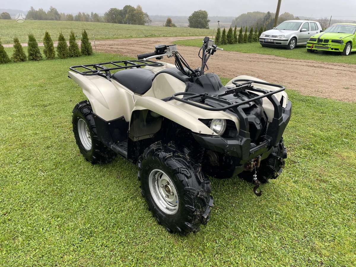 Yamaha Grizzly 2010 — вигляд ззаду