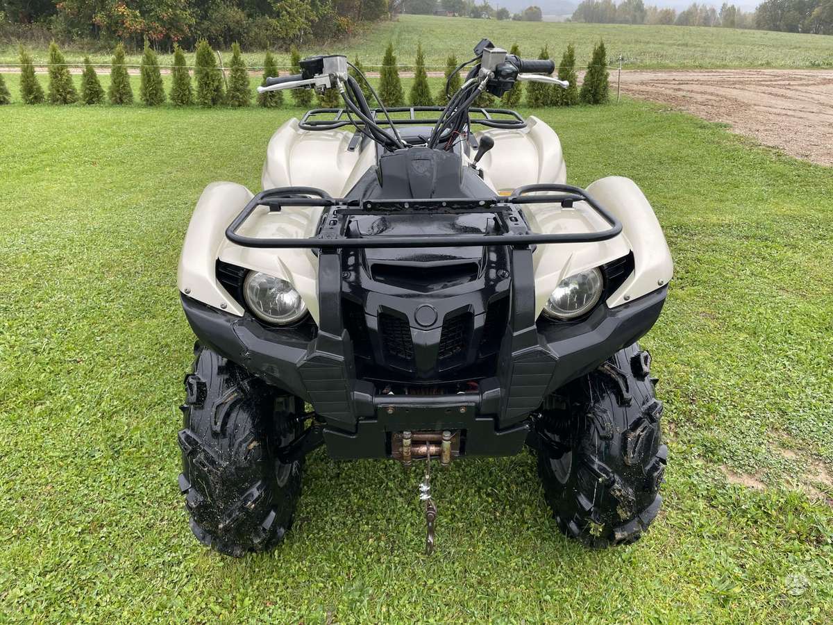 Yamaha Grizzly 2010 — двигун