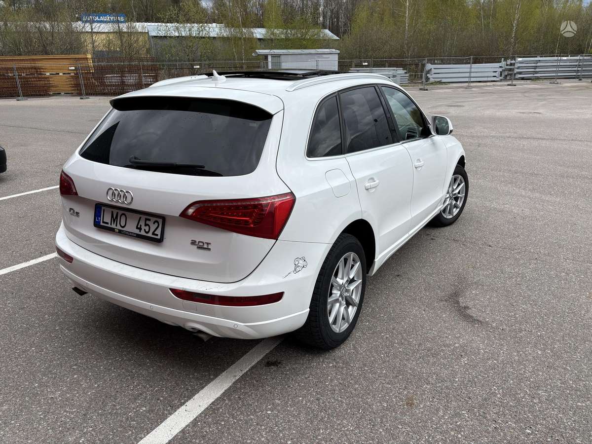 Audi Q5 2011 — вигляд ззаду
