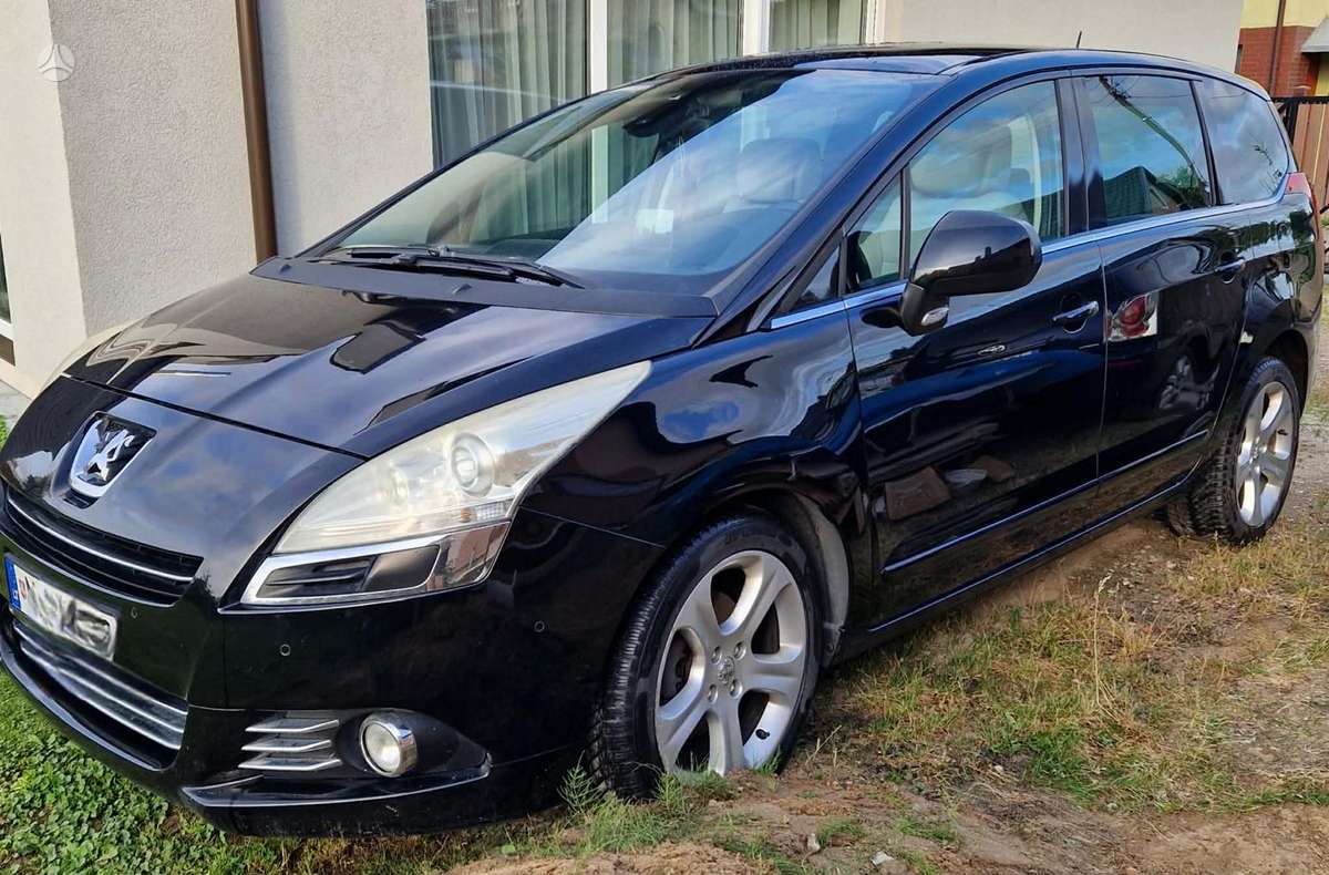 Peugeot 5008 2010 — вигляд ззаду