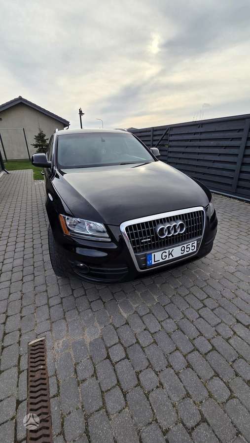 Audi Q5 2011 — rear view