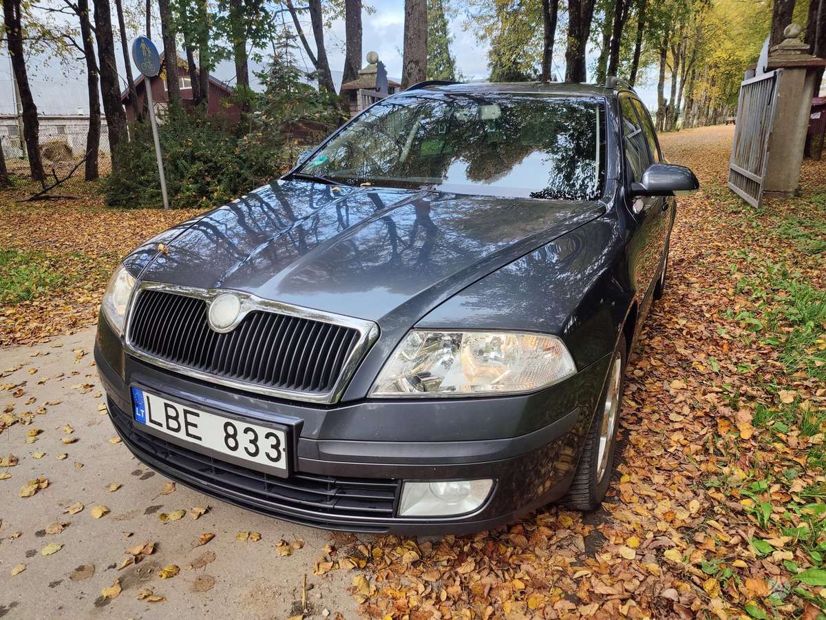 Skoda Octavia 2008 — вигляд ззаду