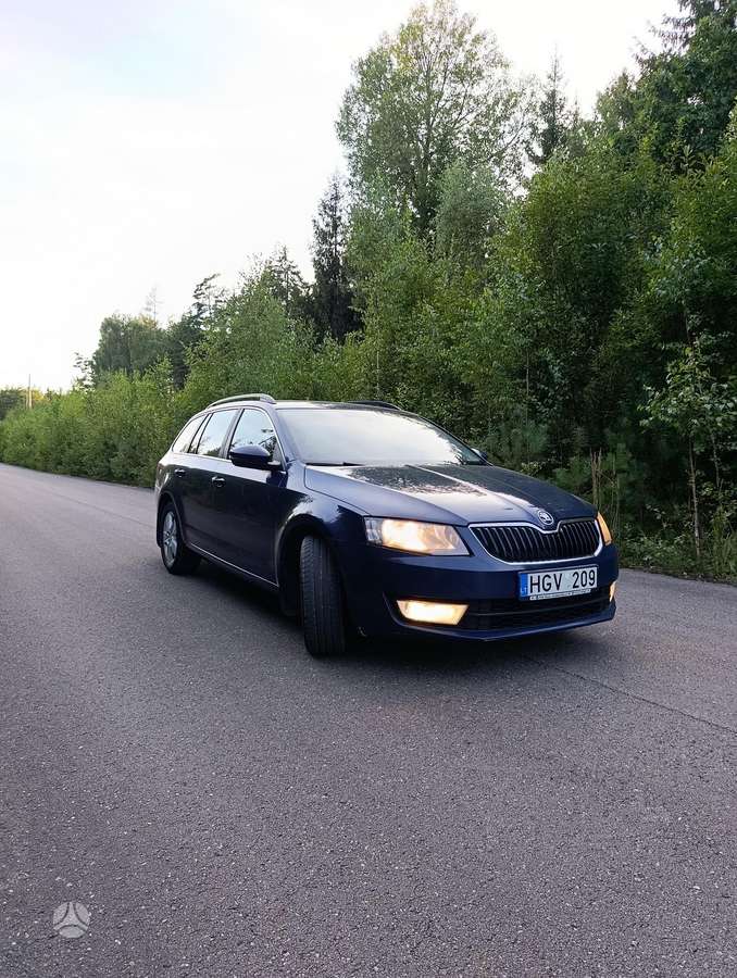 Skoda Octavia 2014 — rear view