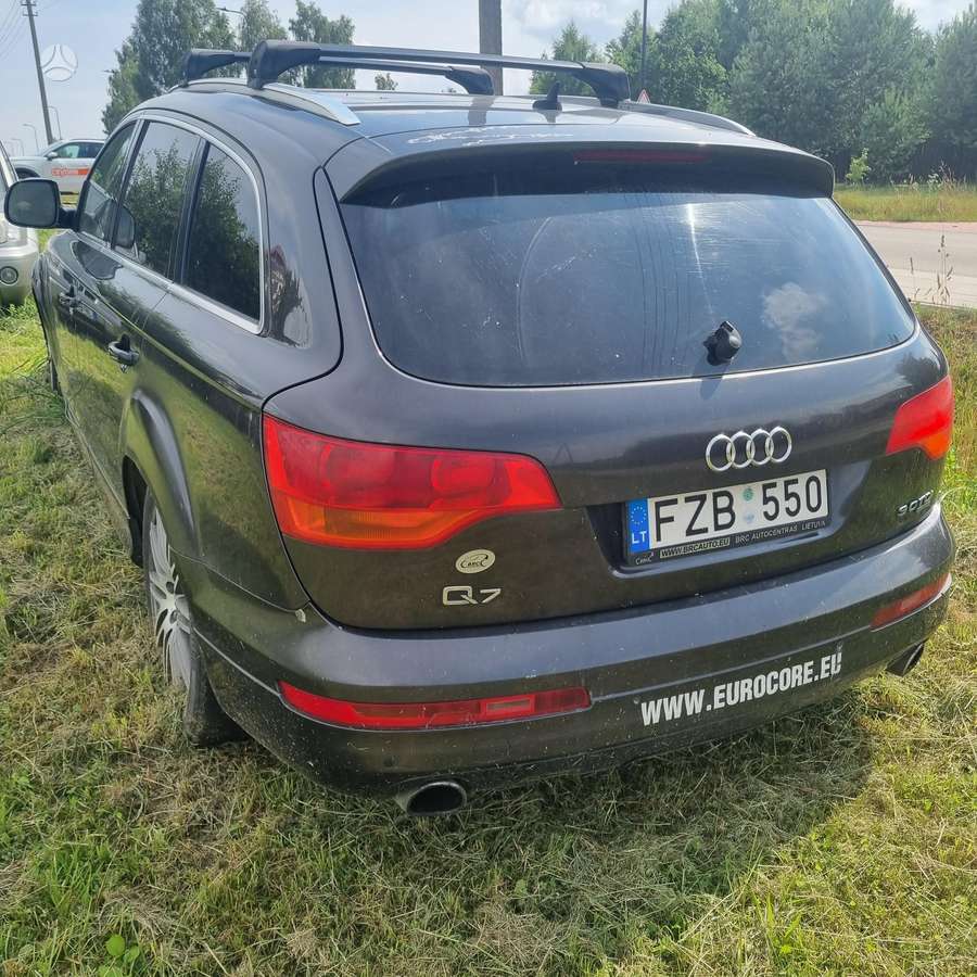 Audi Q7 2006 — вигляд ззаду