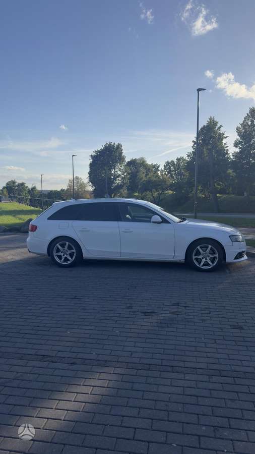 Audi A4 2009 — вигляд ззаду