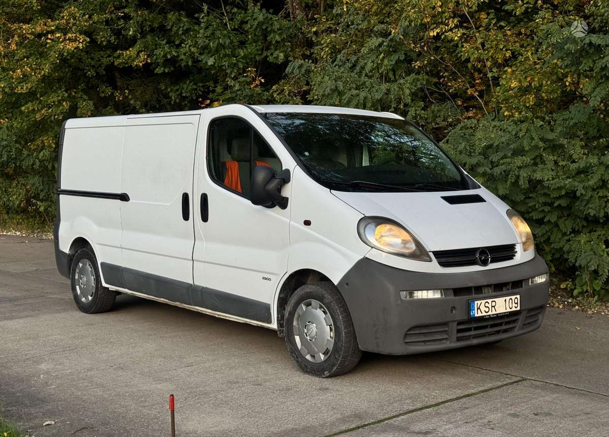 Opel Vivaro 2005 — rear view