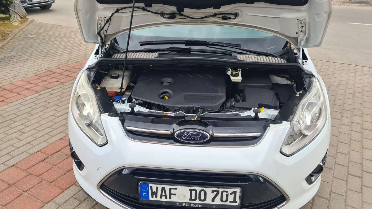 Ford Grand 2011 — photo 15