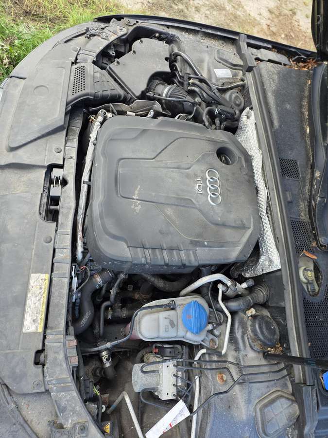 Audi A4 2015 — photo 11