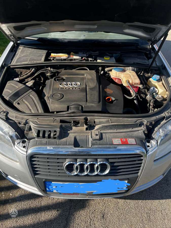 Audi A4 2008 — photo 7