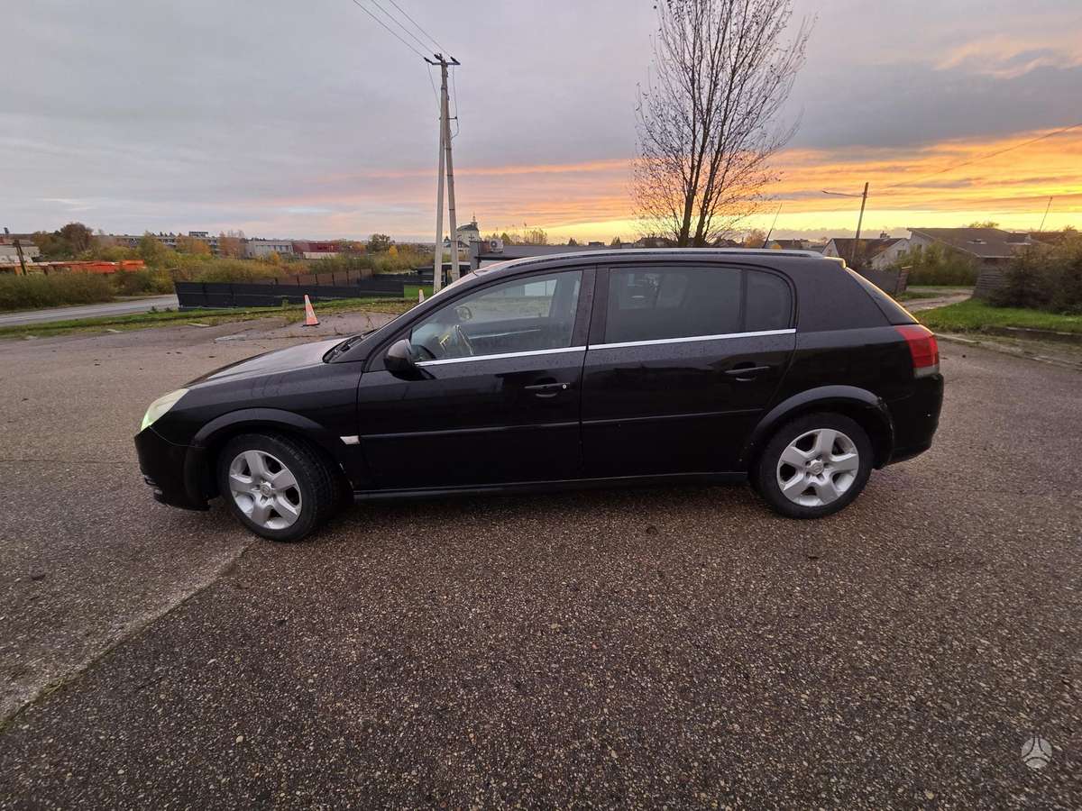 Opel Signum 2006 — rear view