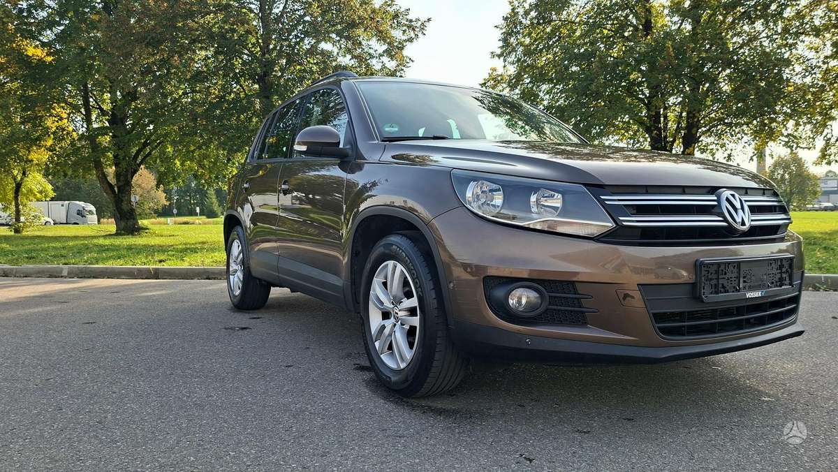 Volkswagen Tiguan 2015 — вигляд ззаду