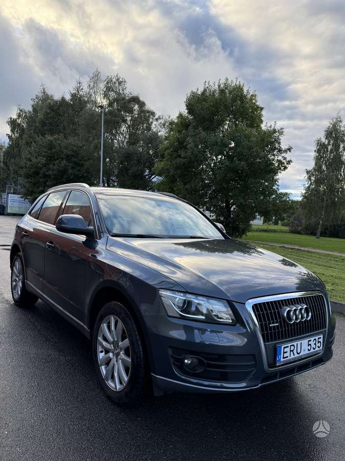 Audi Q5 2010 — вигляд ззаду