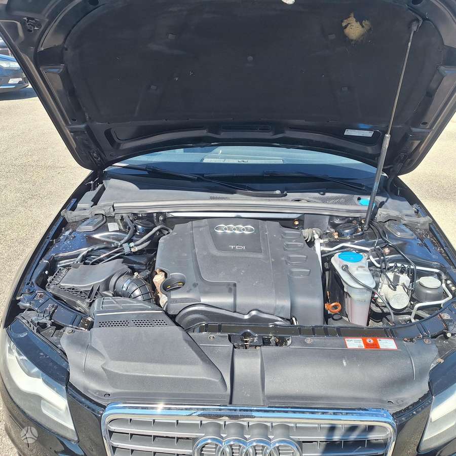 Audi A4 2008 — photo 6