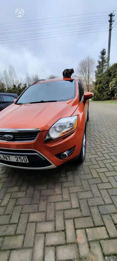 Ford Kuga 2011 — rear view