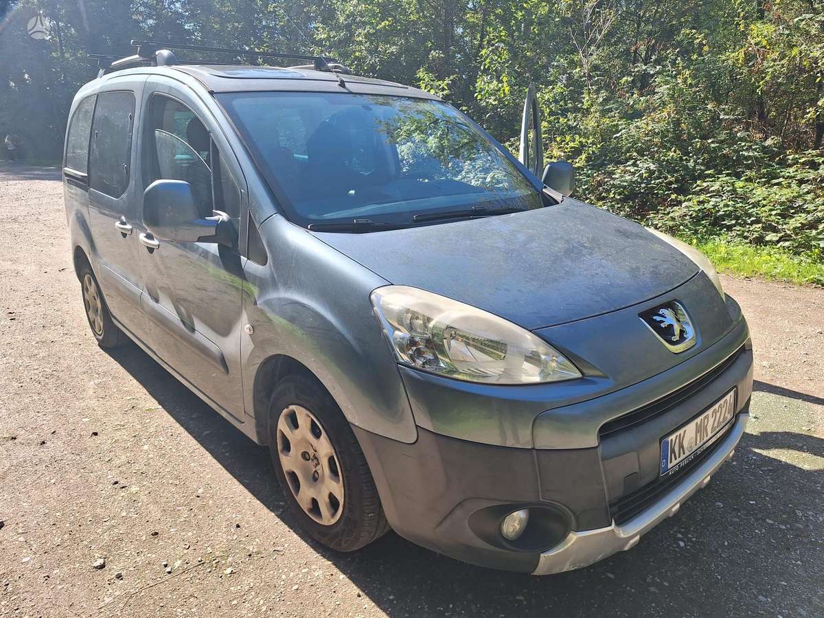 Peugeot Partner 2010 — вигляд ззаду