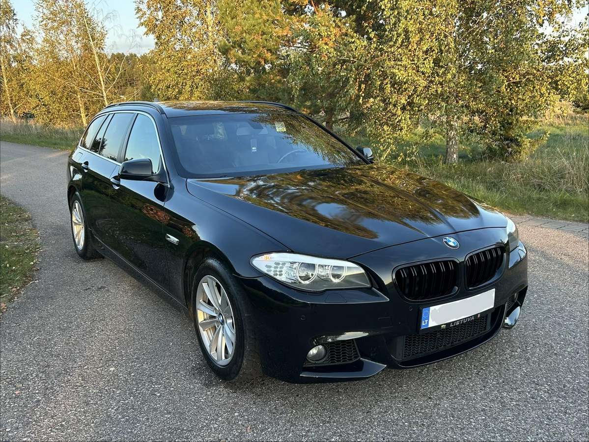 BMW 520 2012 — вигляд ззаду