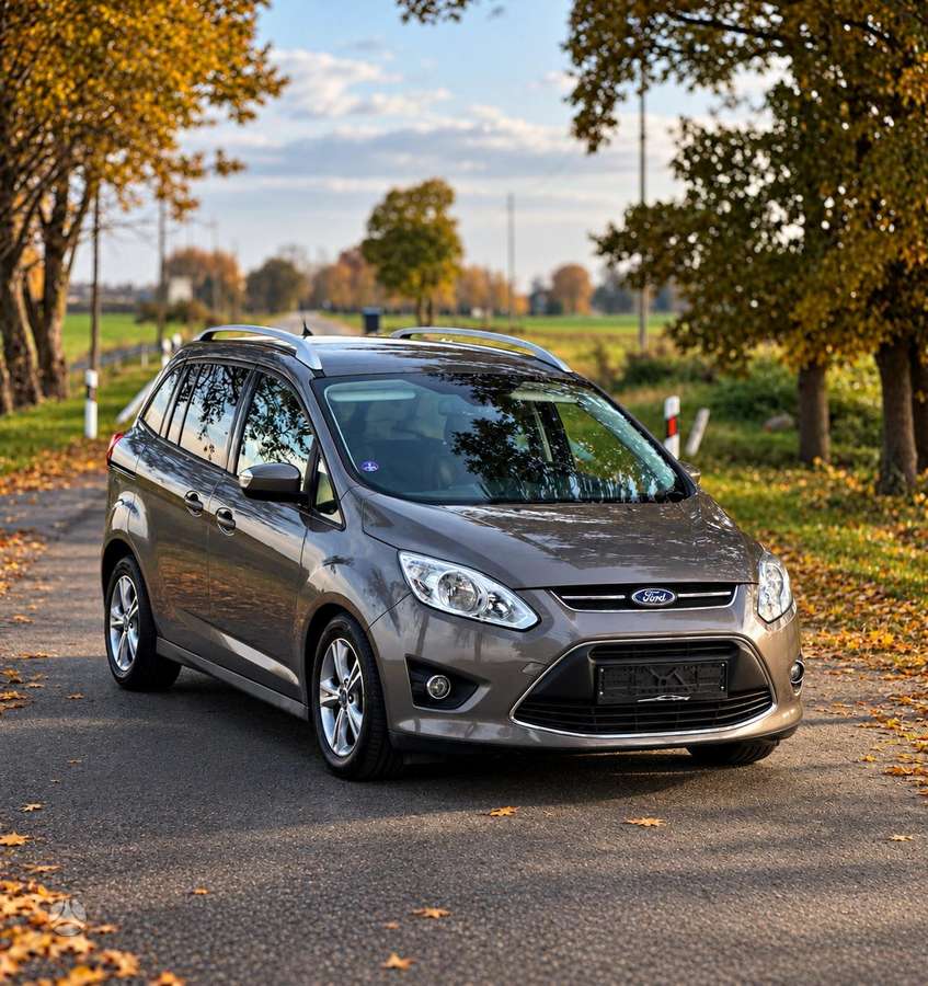 Ford Grand 2015 — vehicle for AFU Ukraine
