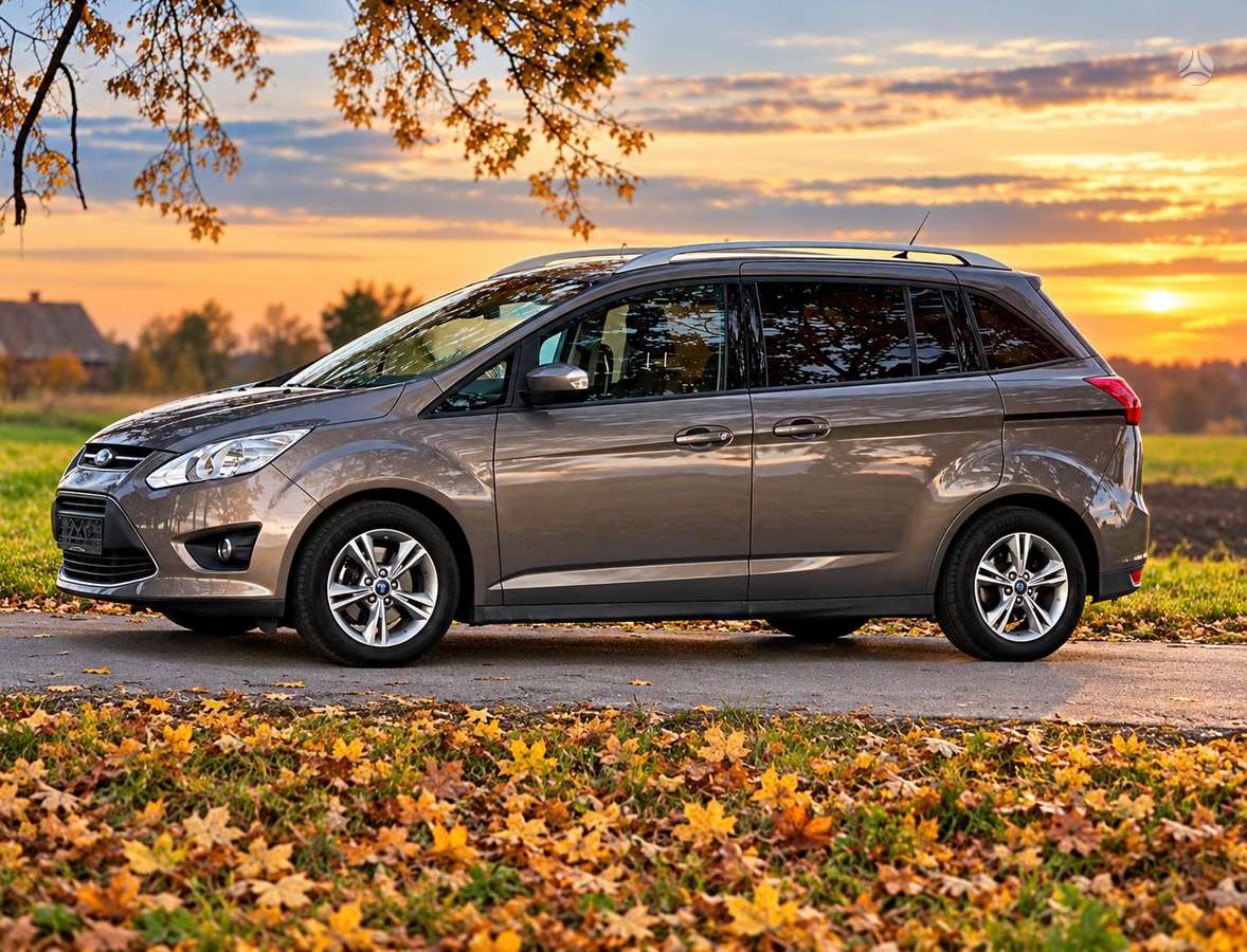 Ford Grand 2015 — rear view