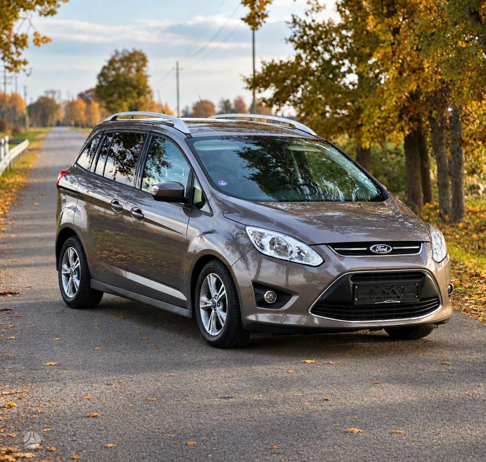 Ford Grand 2015 — interior