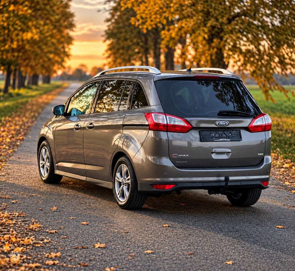 Ford Grand 2015 — photo 6