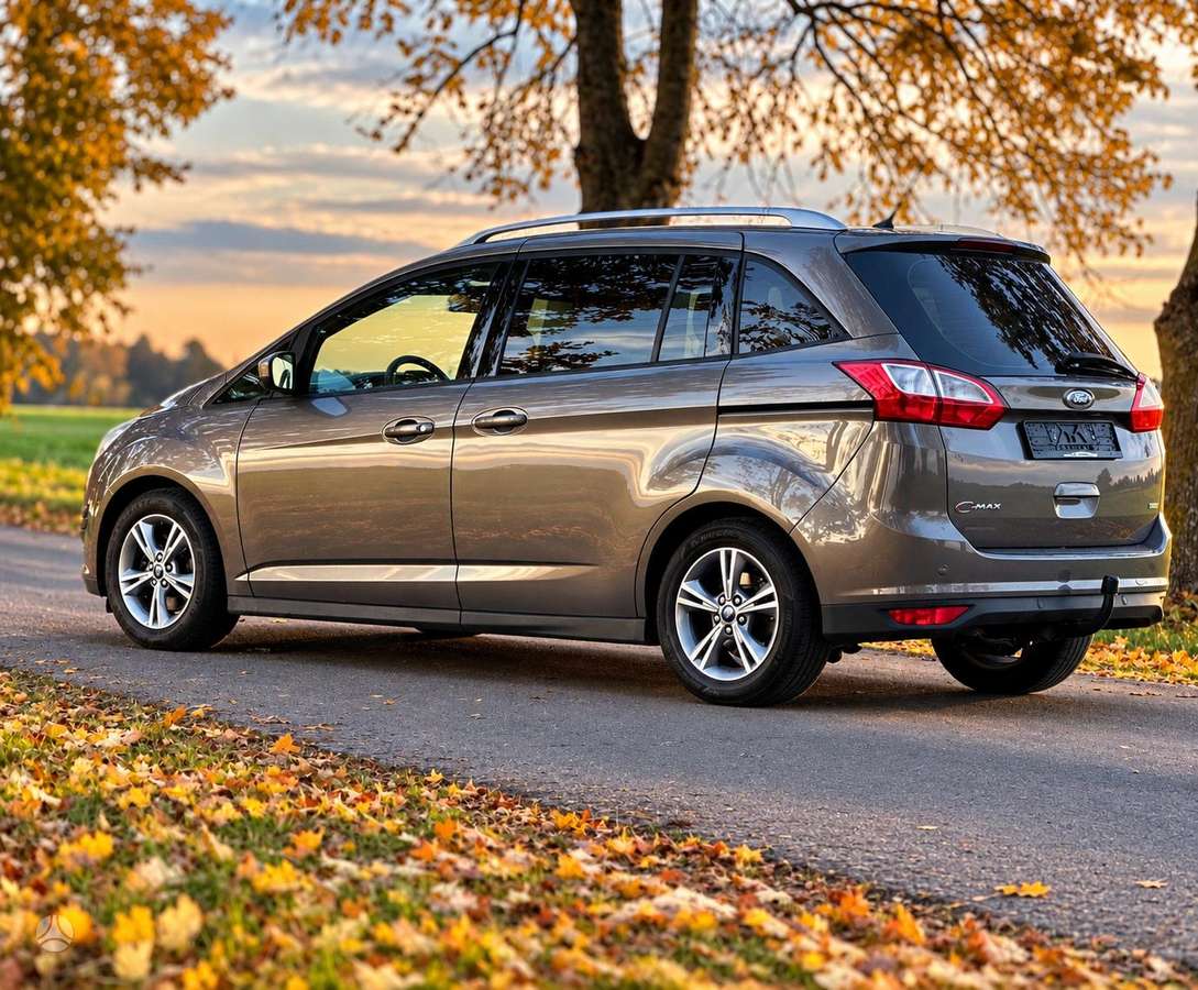 Ford Grand 2015 — photo 7