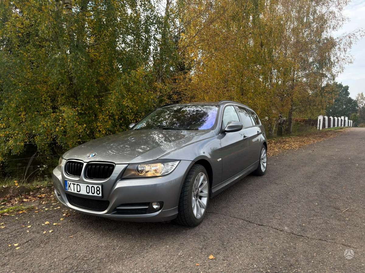 BMW 318 2010 — салон