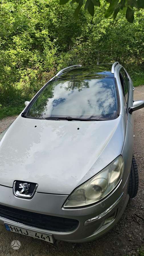 Peugeot 407 2008 — rear view