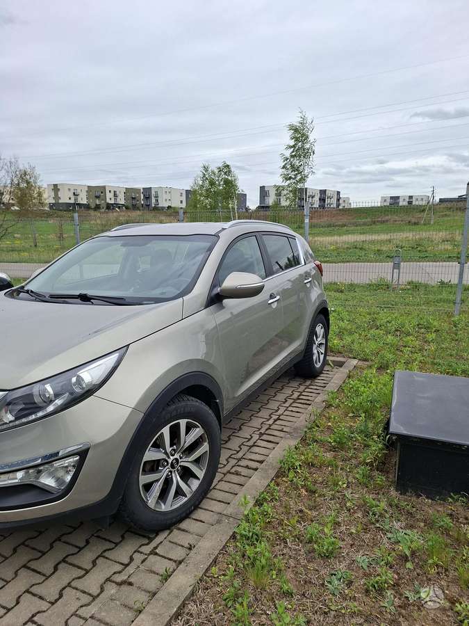 Kia Sportage 2015 — rear view