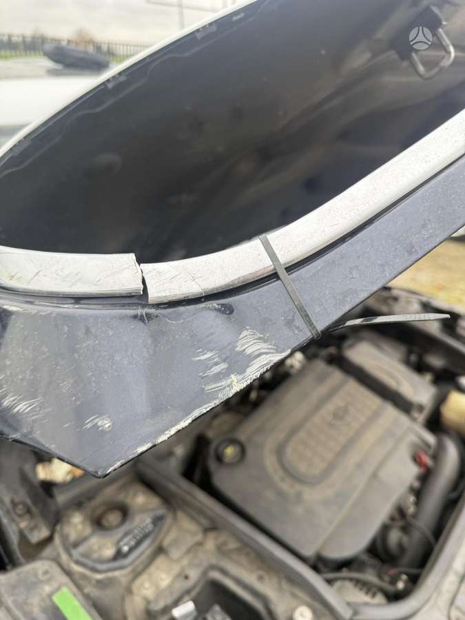 Mini Countryman 2011 — photo 33