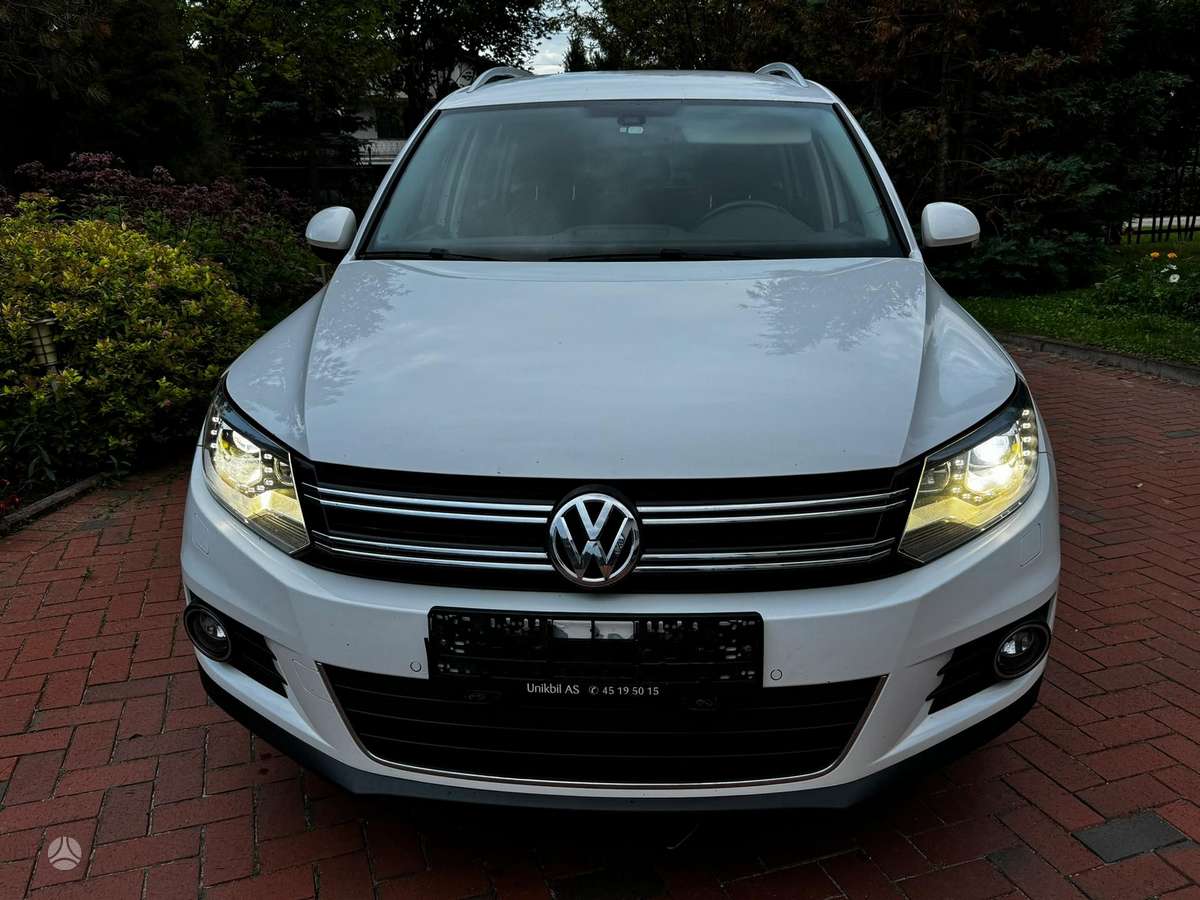 Volkswagen Tiguan 2011 — rear view