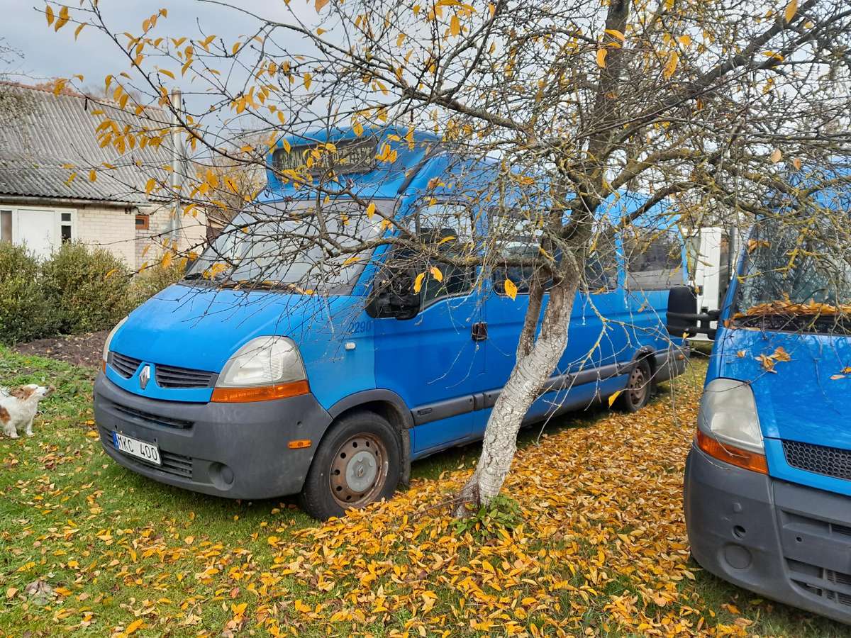Renault Master 2008 — вигляд ззаду