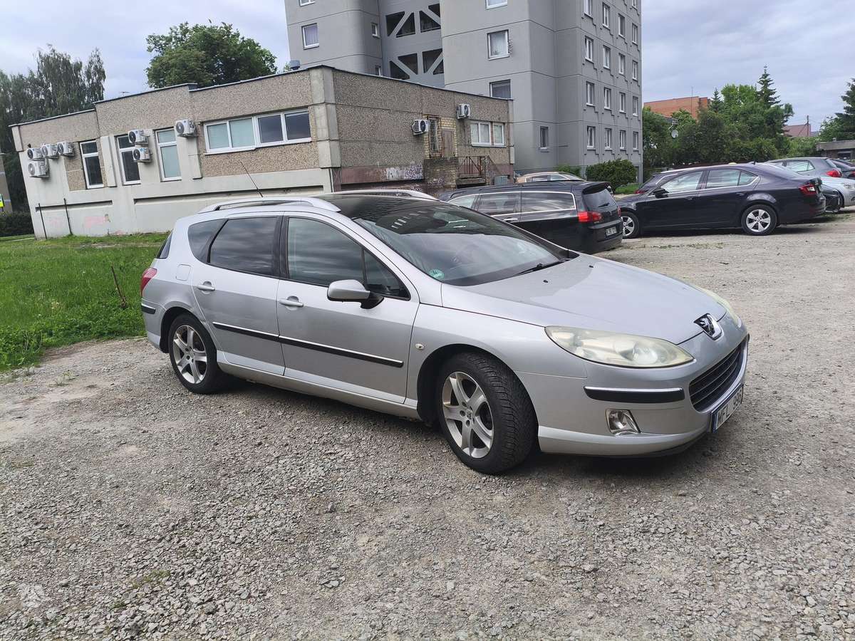 Peugeot 407 2008 — rear view