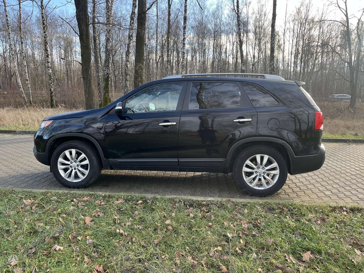 Kia Sorento 2010 — вигляд ззаду