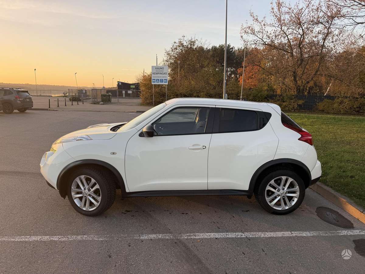 Nissan Juke 2011 — вигляд ззаду