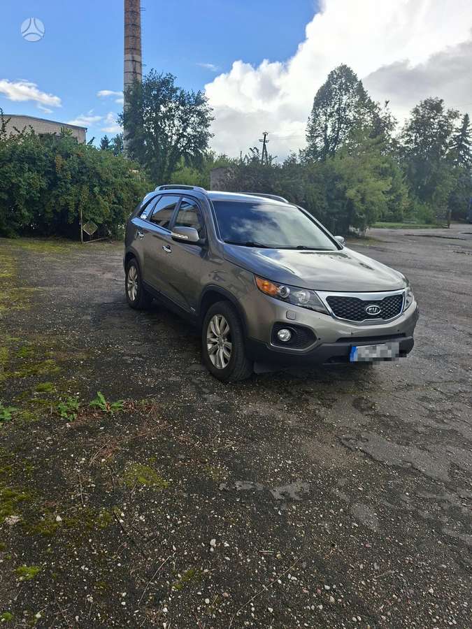Kia Sorento 2011 — вигляд ззаду