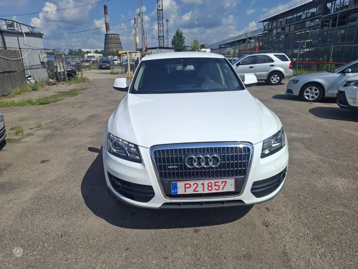 Audi Q5 2010 — вигляд ззаду