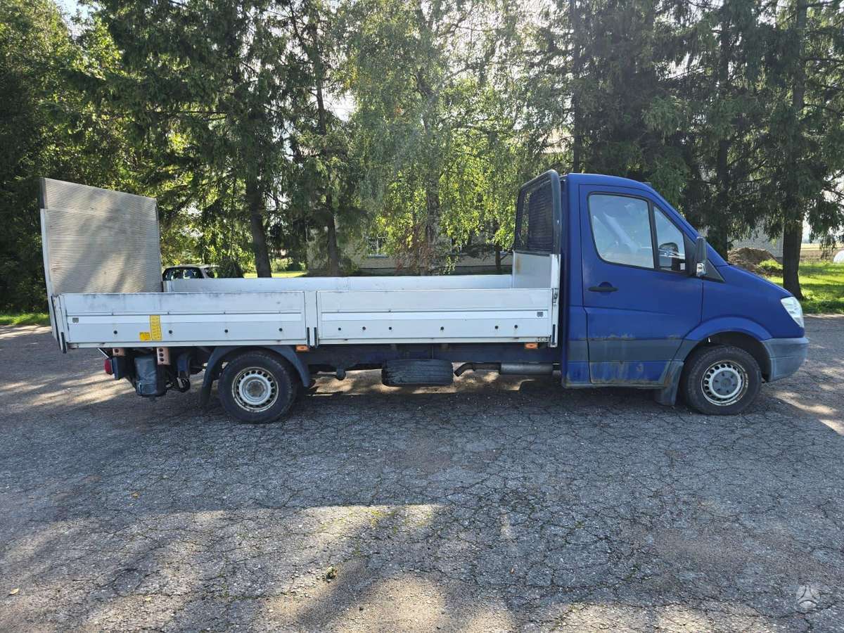 Mercedes-Benz Sprinter 2010 — вигляд ззаду