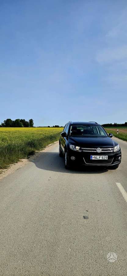 Volkswagen Tiguan 2011 — вигляд ззаду