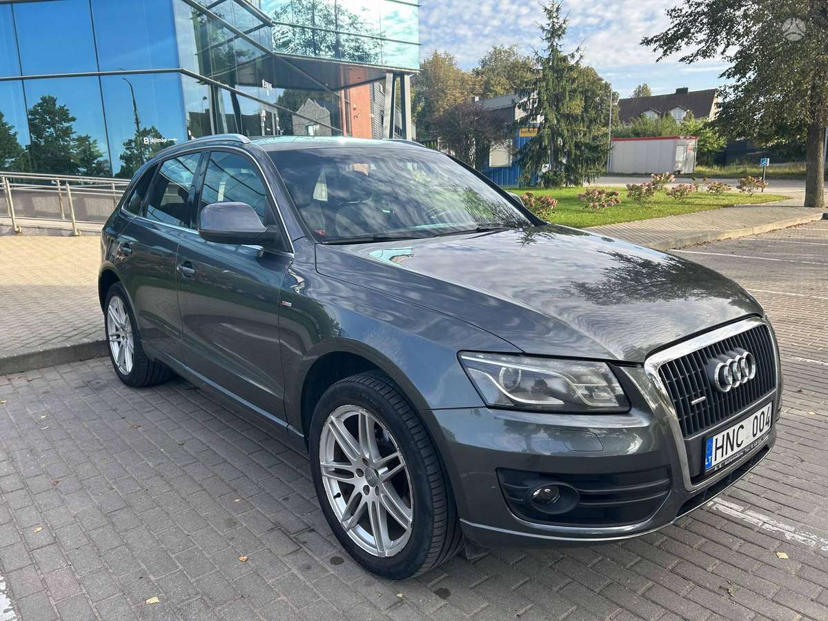 Audi Q5 2010 — вигляд ззаду