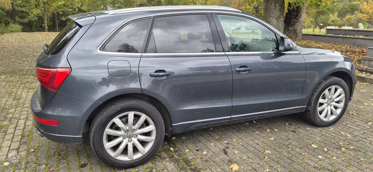 Audi Q5 2009 — photo 6