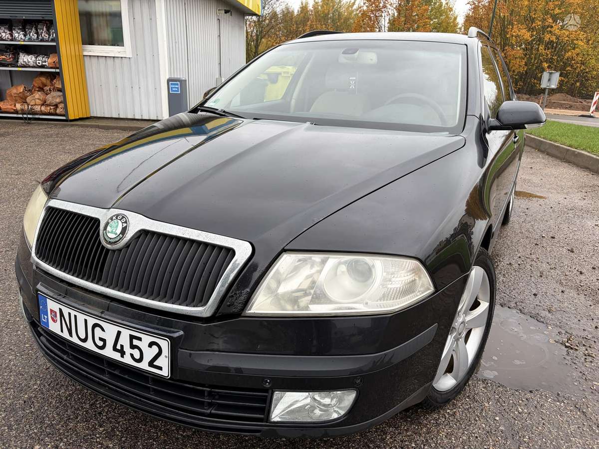 Skoda Octavia 2006 — вигляд ззаду